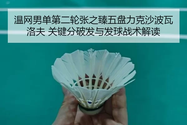 wen-wang-nan-dan-di-er-lun-zhang-zhi-zhen-wu-pan-li-ke-sha-bo-wa-luo-fu-guan-jian-fen-po-fa-yu-fa-qiu-zhan-shu-jie-du-2-323.jpg